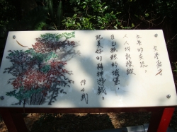 景點照片